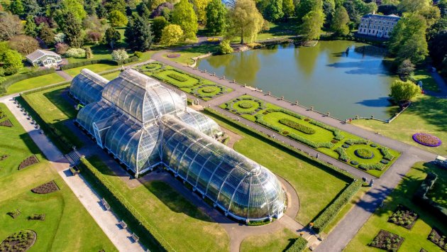 Ogrody Kew w Anglii
