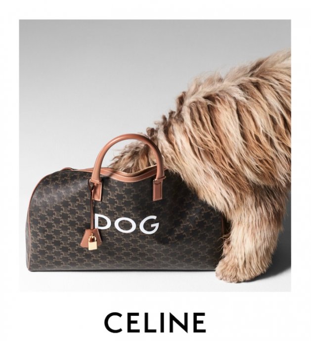 Celine Dog Collection